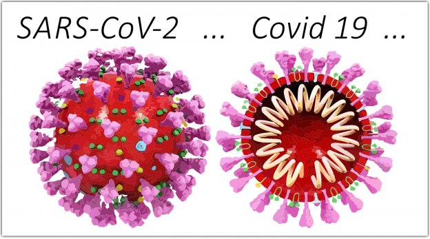 Coronavirus2021